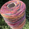 Пряжа в бобинах Multiciolor №6 Цена за 10гр