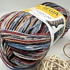 Пряжа Regia Design Line 4-fadig 03655 осенняя ночь