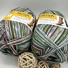 Пряжа Regia Design Line 04015