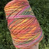 Пряжа в бобинах Multiciolor №6 Цена за 10гр