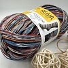 Пряжа Regia Design Line 4-fadig 03655 осенняя ночь