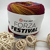 Пряжа Forza Festival 2906
