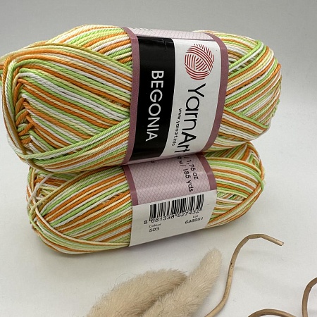 Пряжа Begonia print 503 оранж-салатово белые секции