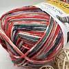 Пряжа Regia Design Line 4-fadig 03760 сад