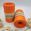 Пряжа для вязания рафия Papiro 1317