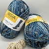 Пряжа Regia 6 - fadig Color 06051