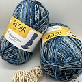 Пряжа Regia 6 - fadig Color 06051