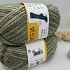 Пряжа Regia Vintage Color /Винтаж Колор/ 02858, farn color (цвет папоротника), белый/зеленый)