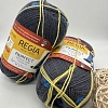 Пряжа Regia Pairfect Design Line 06818