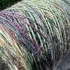 Пряжа в бобинах Multiciolor №1 ДИКАЯ ЗЕЛЕНЬ Цена за 10гр