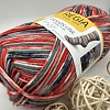 Пряжа Regia Design Line 4-fadig 03760 сад