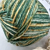 Пряжа Regia 6 - fadig Color 06055