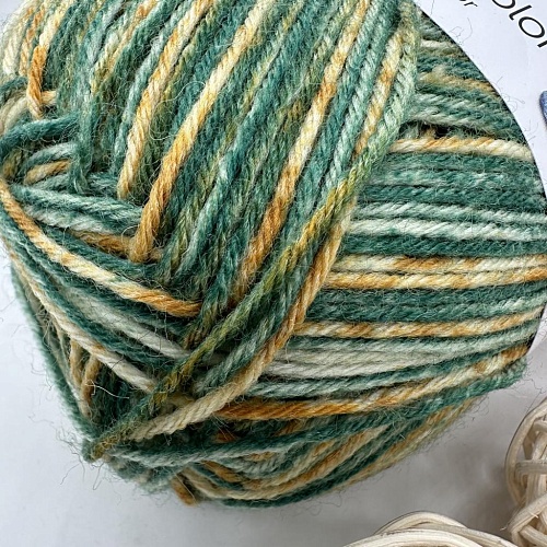 Пряжа Regia 6 - fadig Color 06055