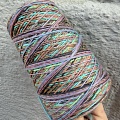 Пряжа в бобинах Multiciolor №9 Цена за 10гр